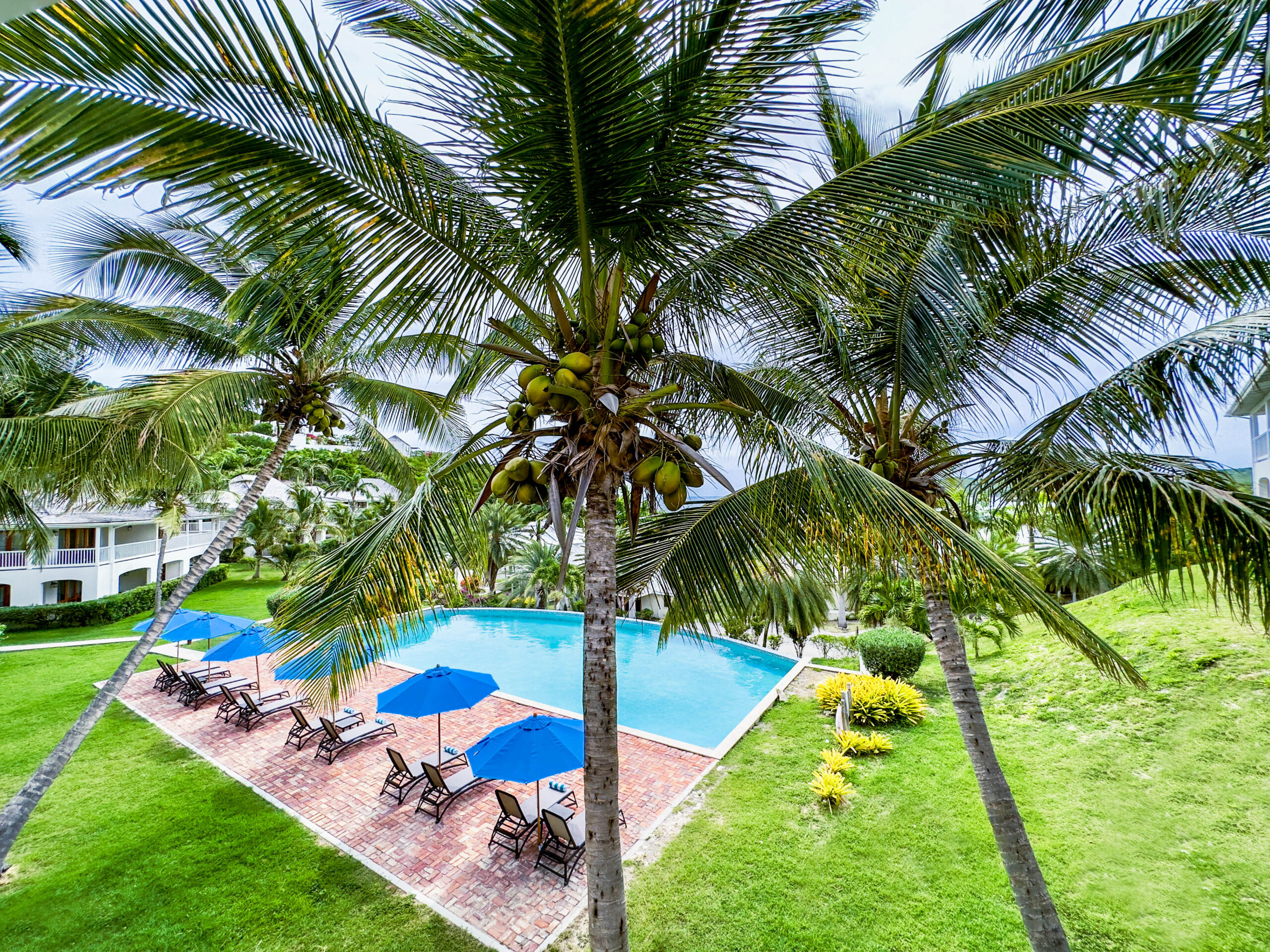 Tropical resort poolside