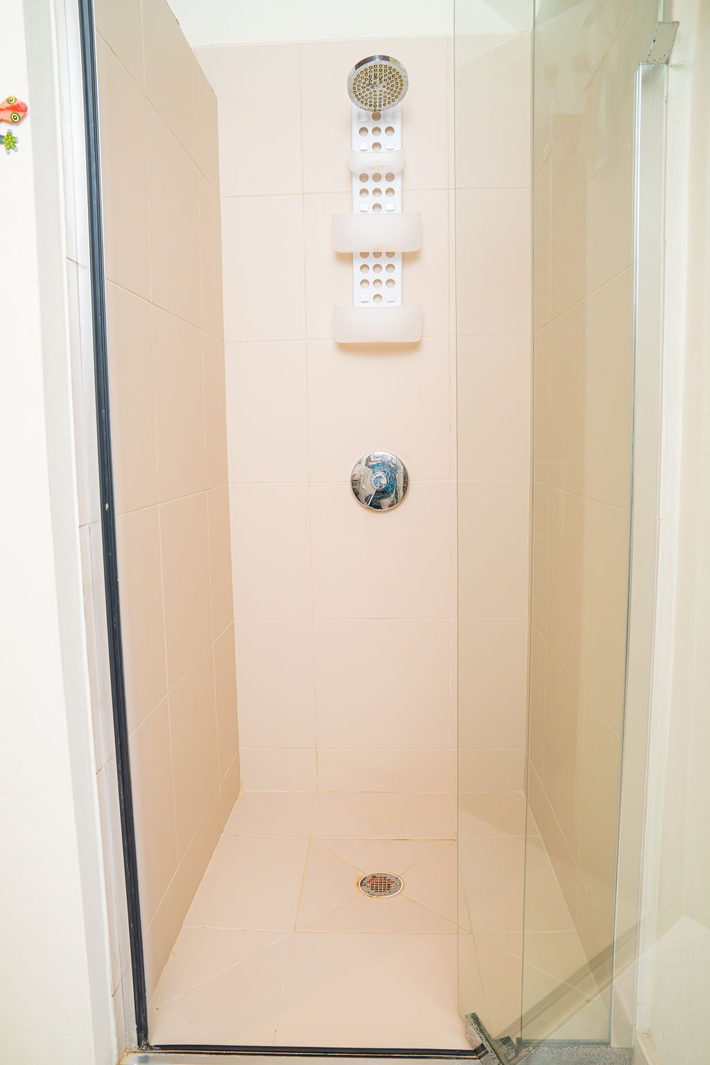 rainfall showerhead